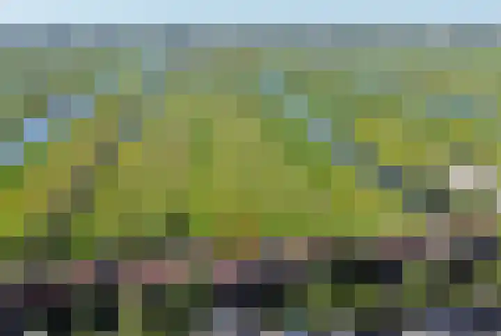 Oosteinde 66 Wormer thumbnail 75