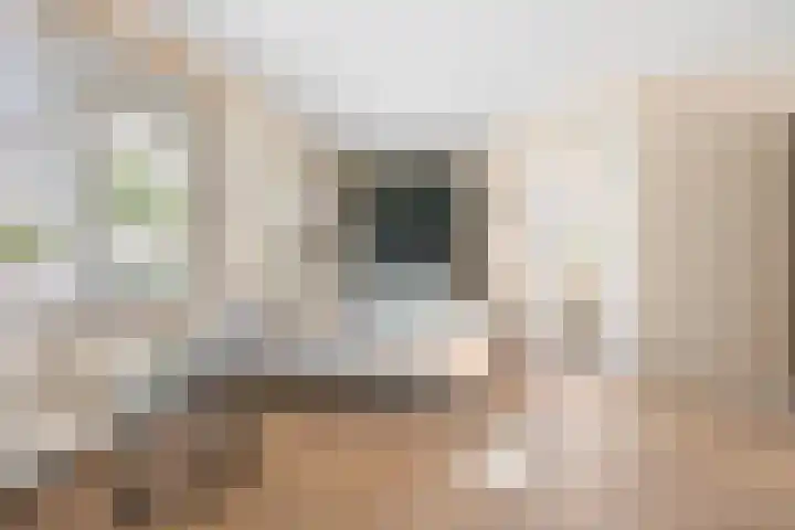 Oosteinde 66 Wormer thumbnail 9