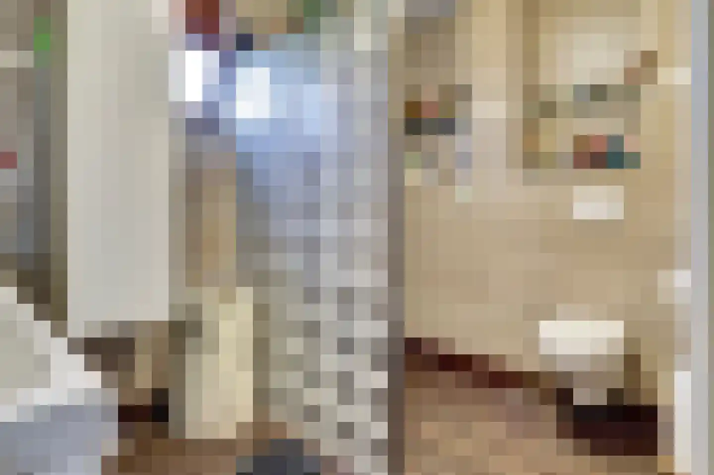 Oosteinde 69 Berkhout thumbnail 12