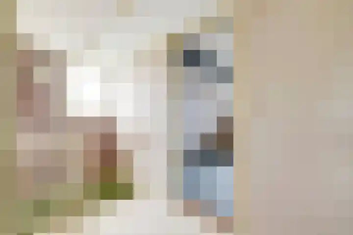 Oosteinde 69 Berkhout thumbnail 15