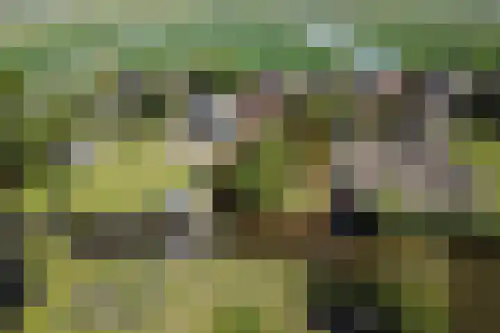 Oosteinde 69 Berkhout foto 2