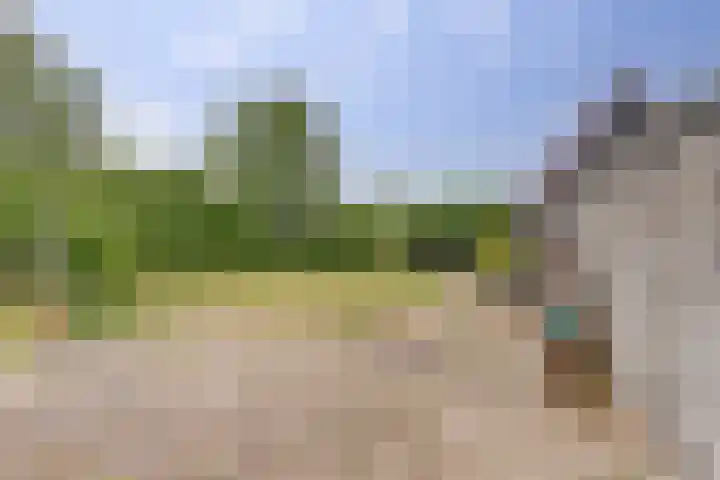 Oosteinde 69 Berkhout thumbnail 24