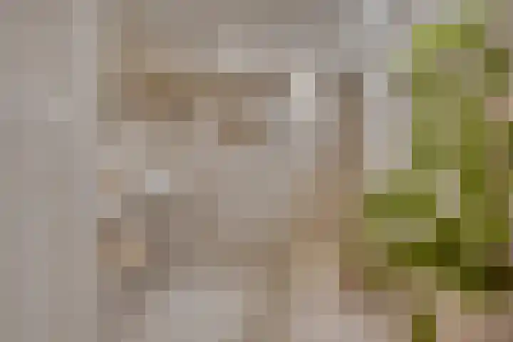 Oosteinde 69 Berkhout thumbnail 26