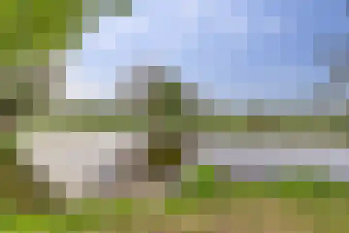 Oosteinde 69 Berkhout foto 3