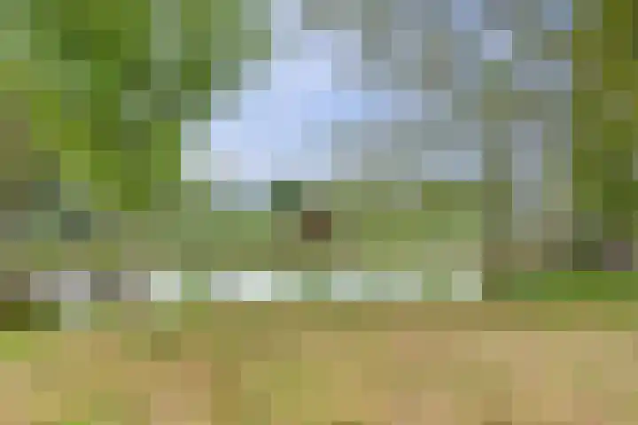 Oosteinde 69 Berkhout thumbnail 30