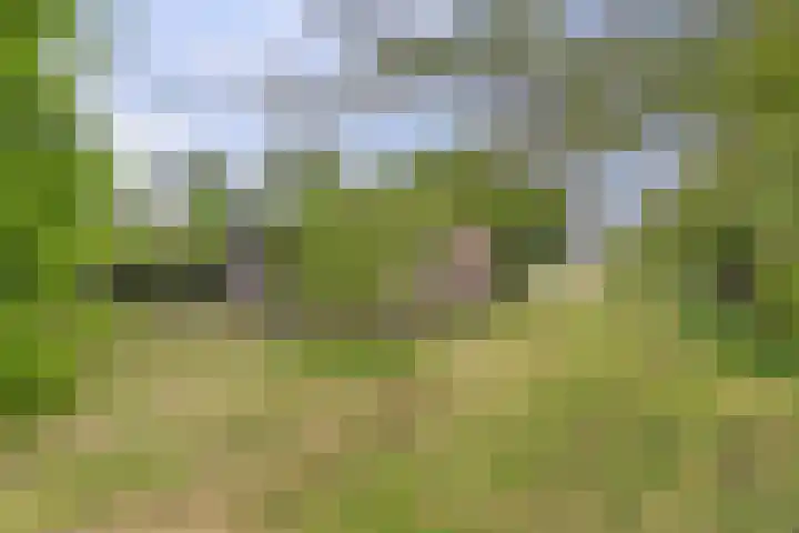 Oosteinde 69 Berkhout thumbnail 32