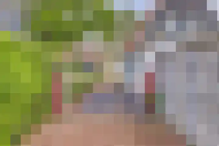 Oosteinde 69 Berkhout thumbnail 34