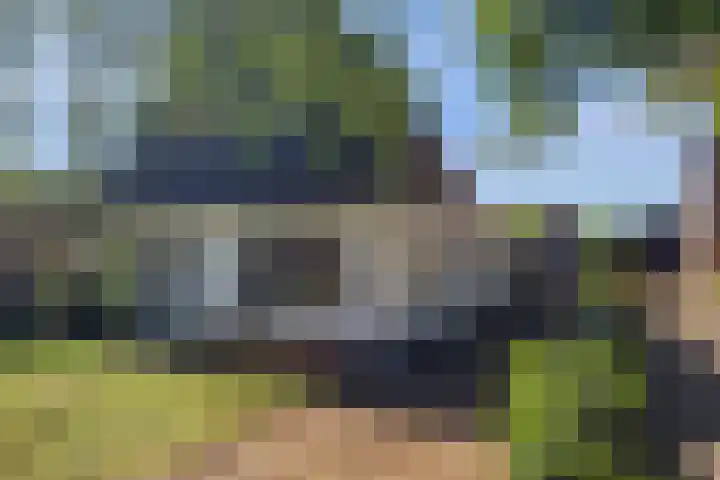 Oosteinde 69 Berkhout thumbnail 35