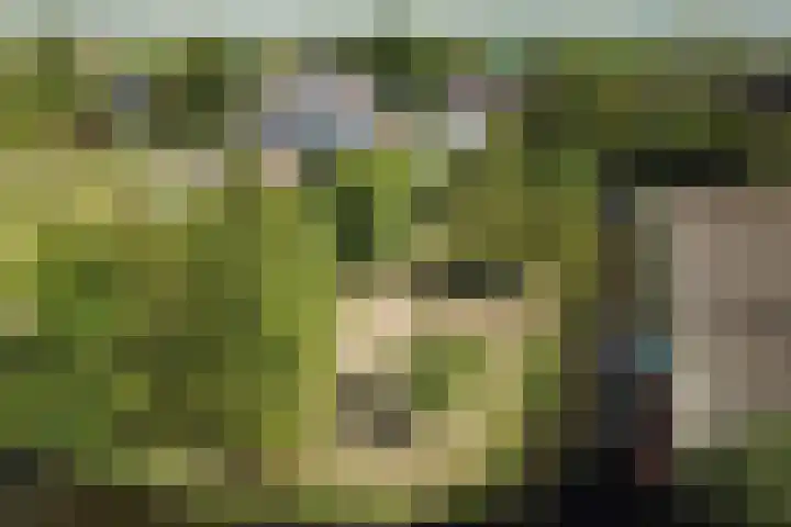 Oosteinde 69 Berkhout thumbnail 36