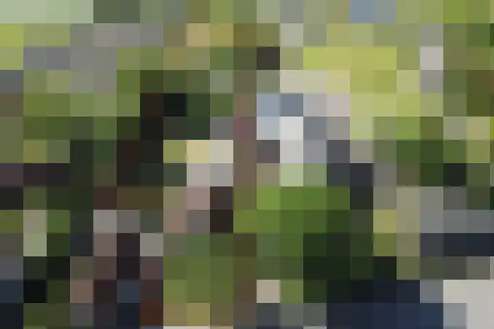 Oosteinde 69 Berkhout thumbnail 37
