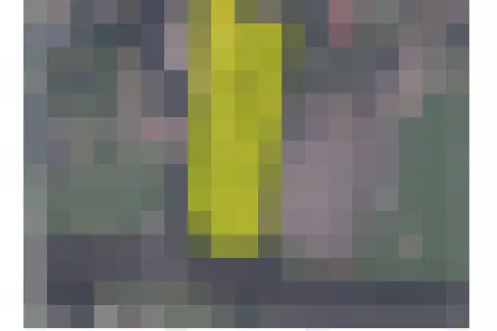 Oosteinde 69 Berkhout thumbnail 38