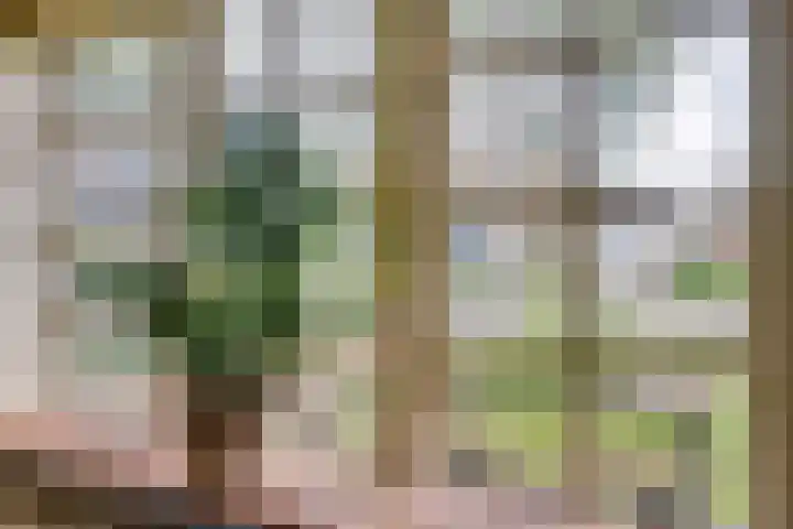 Oosteinde 69 Berkhout thumbnail 5
