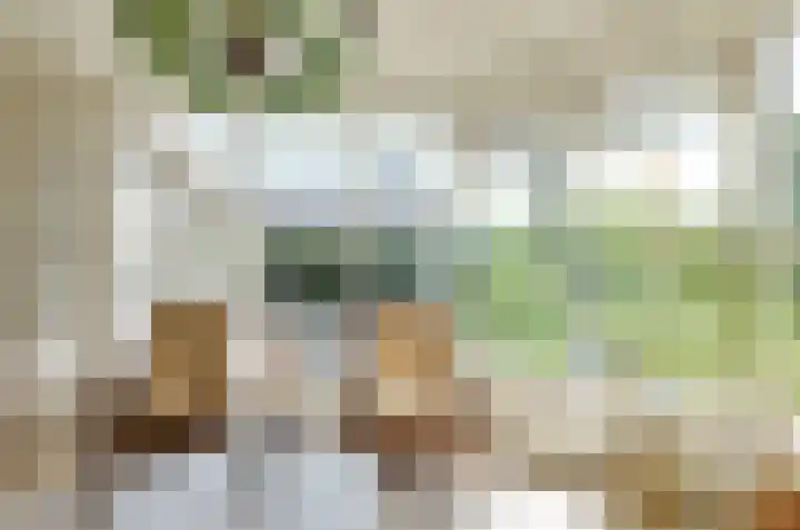 Oosteinde 7 Westerbork thumbnail 11