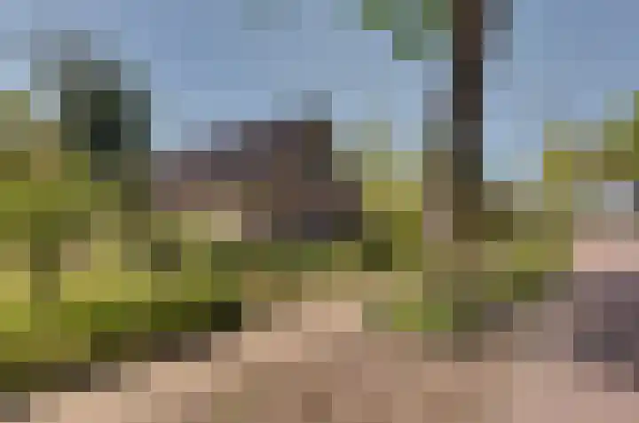 Oosteinde 7 Westerbork foto 3