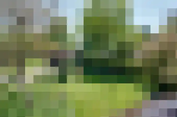 Oosteinde 7 Westerbork thumbnail 35