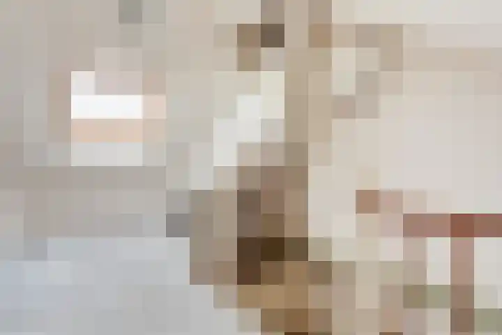 Oosteinde 7 Westerbork thumbnail 36