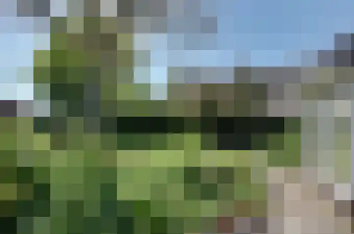 Oosteinde 7 Westerbork thumbnail 38