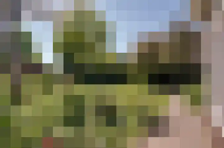 Oosteinde 7 Westerbork thumbnail 41