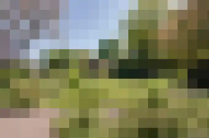 Oosteinde 7 Westerbork thumbnail 42