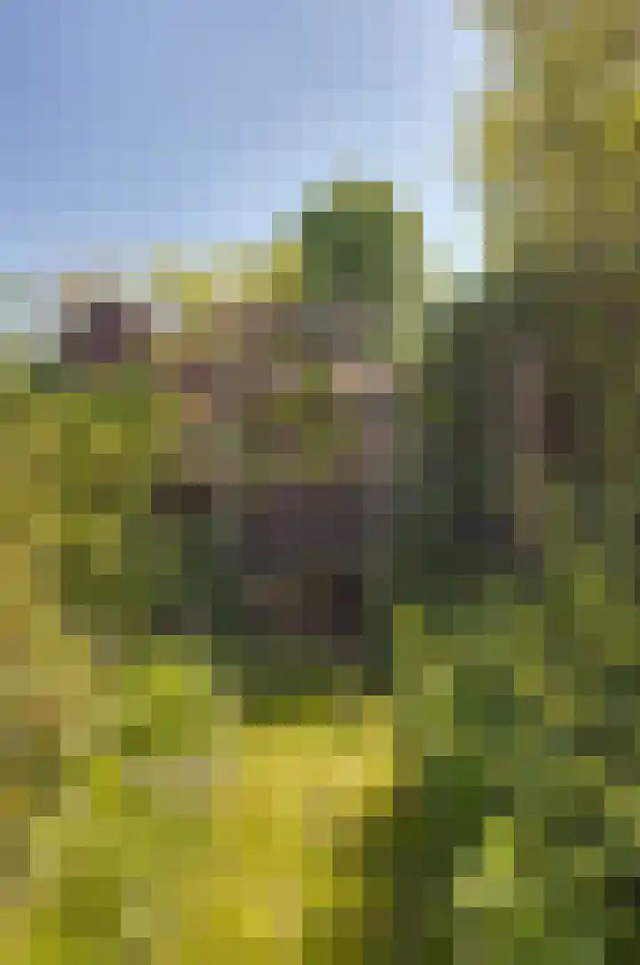 Oosteinde 7 Westerbork thumbnail 43