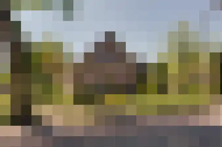 Oosteinde 7 Westerbork thumbnail 51