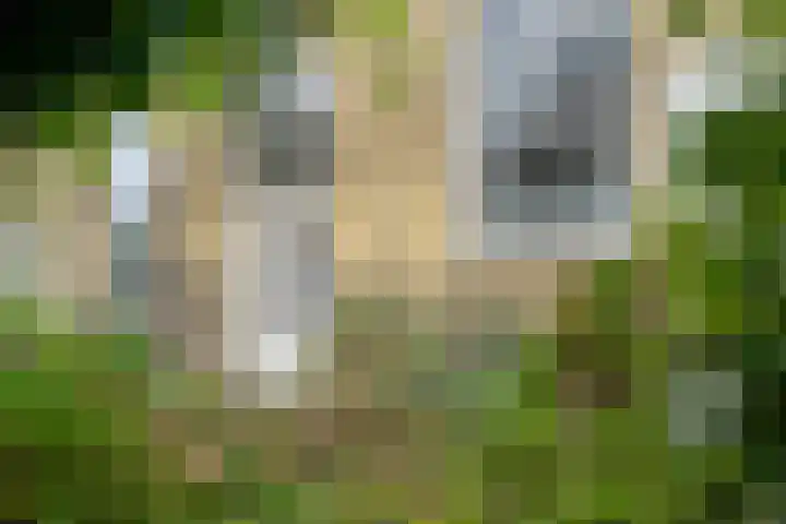 Oostend 17 A Witmarsum thumbnail 10