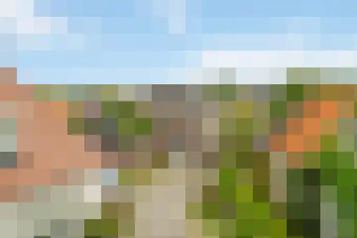 Oostend 17 A Witmarsum thumbnail 39