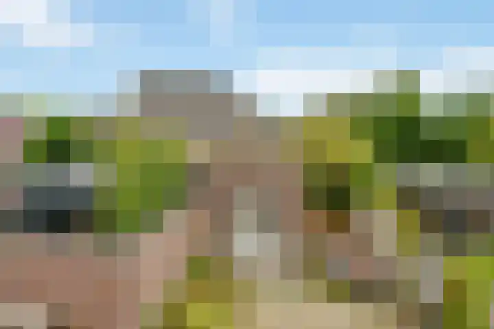 Oostend 17 A Witmarsum thumbnail 6