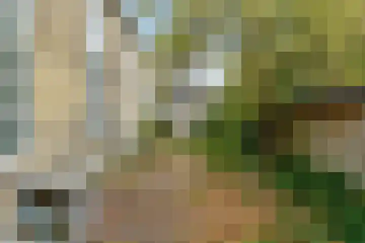 Oostend 17 A Witmarsum thumbnail 7