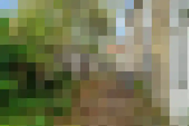 Oostend 17 A Witmarsum thumbnail 9