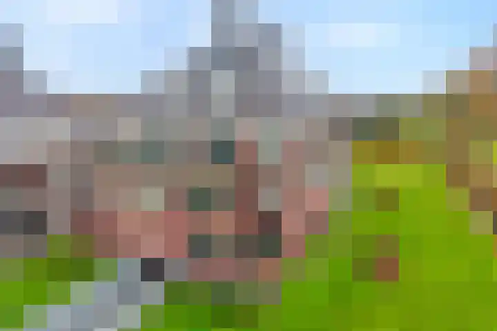Oosterakker 16 in de Wijk