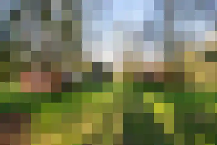Oosterbroek 3 Eelde thumbnail 42