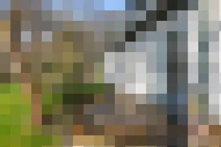 Oosterbroek 3 Eelde thumbnail 44