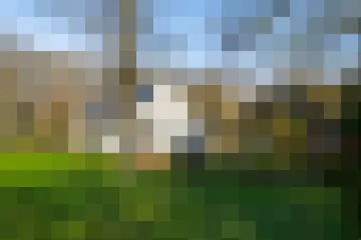 Oosterbroek 3 Eelde thumbnail 48