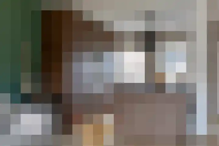 Oostercluft 10 Steenwijk thumbnail 4