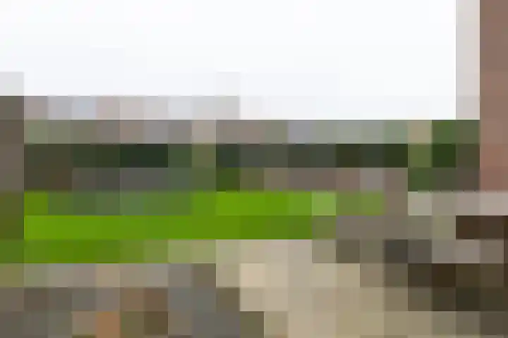 Oostercluft 10 Steenwijk thumbnail 49
