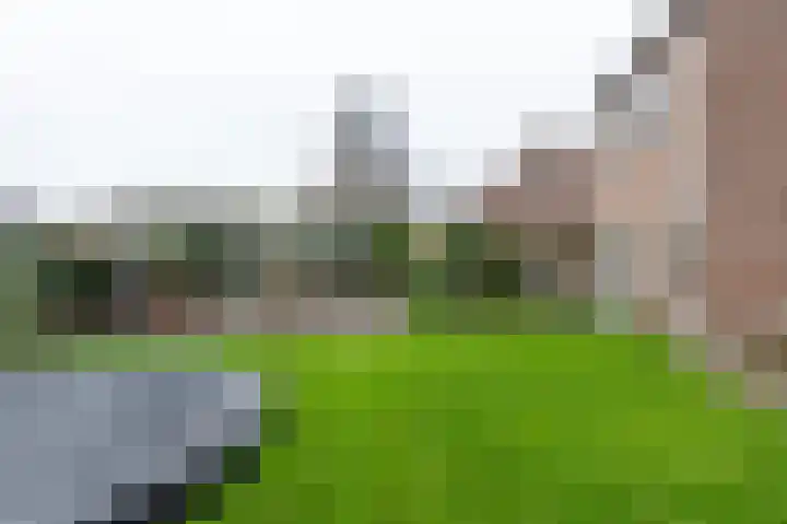 Oostercluft 10 Steenwijk thumbnail 51