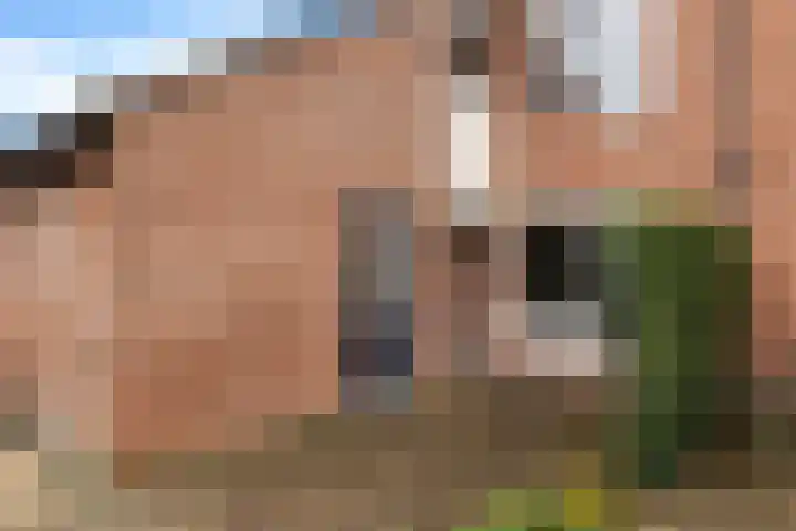 Oostercluft 123 Steenwijk thumbnail 34