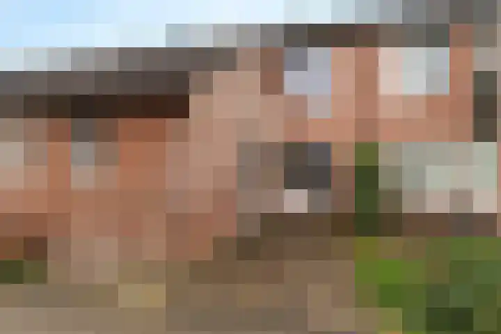 Oostercluft 123 Steenwijk thumbnail 6
