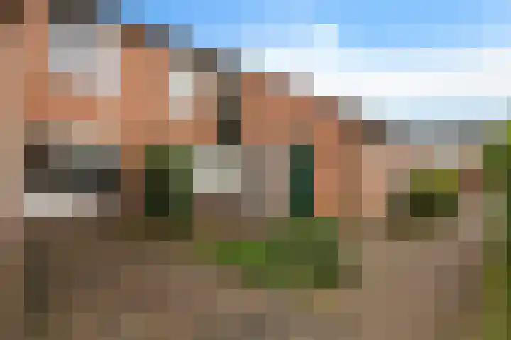 Oostercluft 123 Steenwijk thumbnail 7