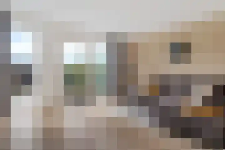 Oostercluft 123 Steenwijk thumbnail 9