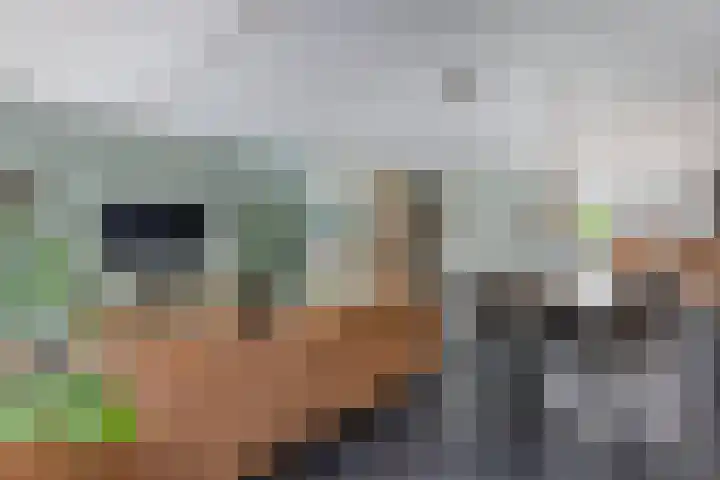 Oostercluft 14 Steenwijk thumbnail 14