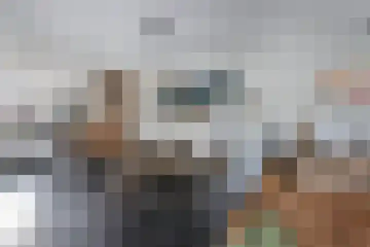 Oostercluft 14 Steenwijk thumbnail 15