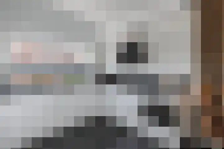 Oostercluft 14 Steenwijk thumbnail 19