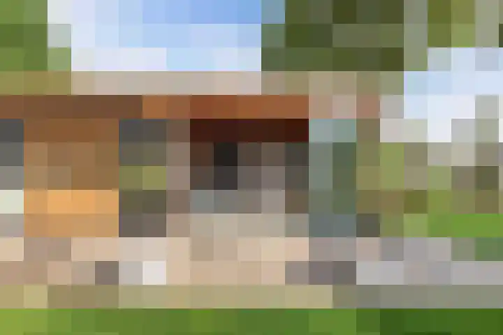 Oostercluft 14 Steenwijk thumbnail 43