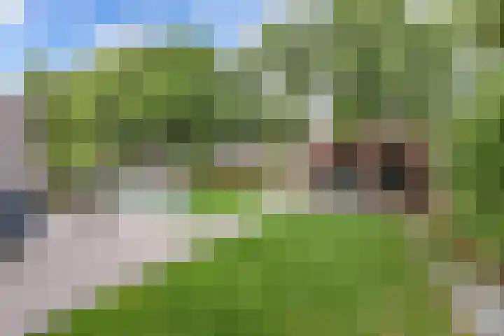 Oostercluft 14 Steenwijk thumbnail 44