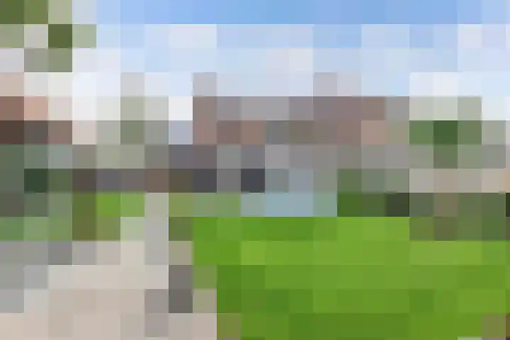 Oostercluft 14 Steenwijk thumbnail 49
