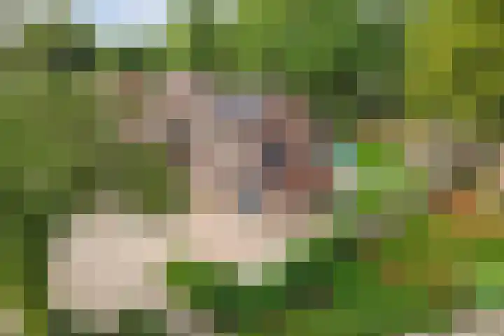 Oostercluft 14 Steenwijk thumbnail 56