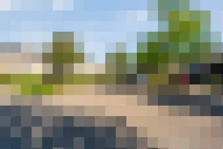 Oostercluft 390 Steenwijk thumbnail 24