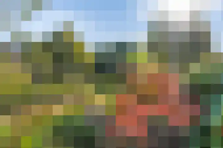 Oostercluft 390 Steenwijk thumbnail 25